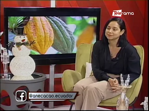 Sector cacaotero ecuatoriano retos y proyección 2023