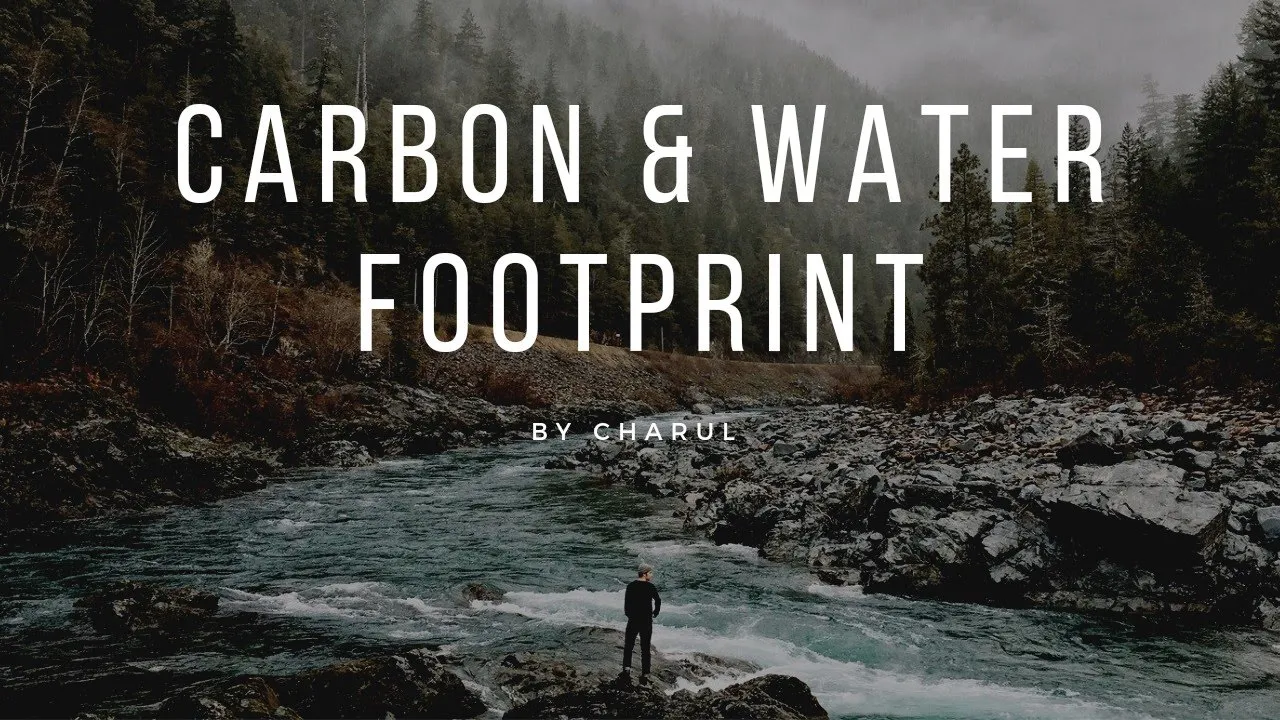 Carbon Hand & Foot Print | Water Footprints | Ecology EducationAtYourDoorStep #handprint #footprint