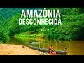 Download Lagu CONHEÇA UMA das Regiões mais EXTREMAS da AMAZÔNIA, um BRASIL conhecido por POUCOS