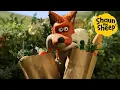 Download Lagu Shaun the Sheep 🐑 Fox goes shopping  - Cartoons for Kids 🐑 Full Episodes Compilation [1 hour]