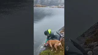 Dog life on a boat – Part 2 #dog #adventure #sailing