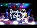 Si Supieras - Maelo Ruiz - Rumba Fish 2020