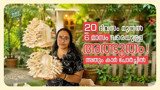 20 ദിവസം മുതൽ 6 മാസം വരെയുള്ള അത്ഭുതം അതും കാർ പോർച്ചിൽ 🌱 | Incredible Mushroom Farming