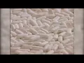 Everything you need to know about treating pain with ibuprofen