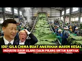 Lagu IDE GILA CHINA KEMBALI KEJUTKAN AMERIKA⁉️ INDUSTRI DAUR ULANG LIMBAH DAUN PISANG UNTUK BANYAK 