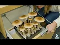 Grow Big Grow Anywhere Midwest Grow Kits Funny Skit