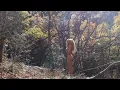 nature song