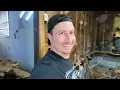 Lagu You won't believe what's UNDER here...tearing it down to the crawlspace-  abandoned house EP.11