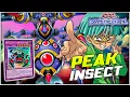 Download Lagu 9 Disruptions! Battlewasp Beetroper Deck (Insect Pile) | Deck List \u0026 Combo | Yu-Gi-Oh! Master Duel