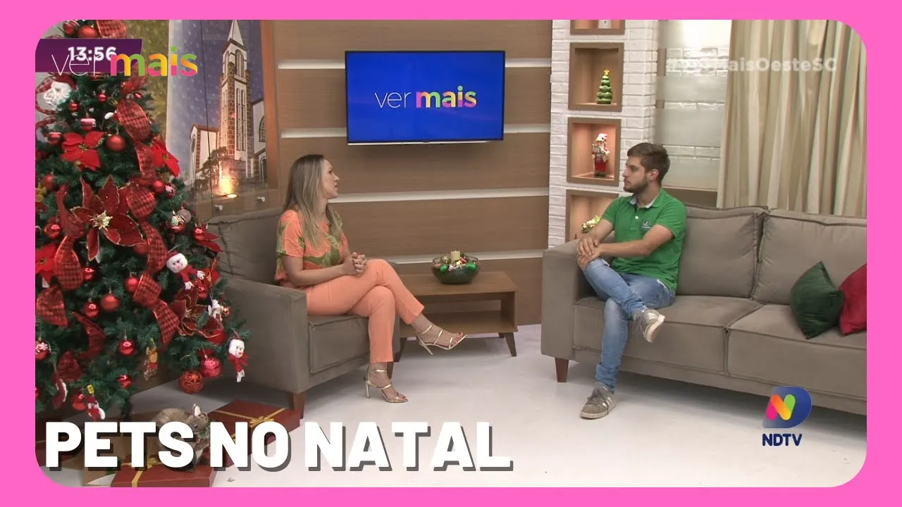 Saiba os cuidados na hora de alimentar seu pet no natal