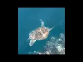 The Philippines - the most beautiful islands in the world?