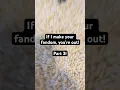 If I make your fandom you re out