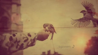 يا طيره طيري رويدا عطية YouTube 