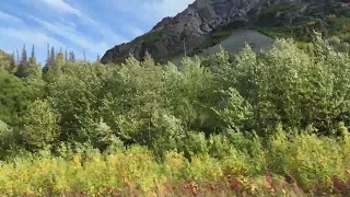                           دندنها