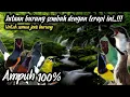 Download Lagu Terapi burung macet bunyi 100% Ampuh || Hitungan detik langsung bunyi‼️