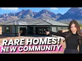 RARE New Construction Homes in Tucson s Most Desired Suburb with AMAZING Views Oro Valley AZ