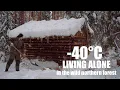 Download Lagu OVERLEEF DE WINTER IN EEN KLEINE GEZELLIGE BLOKHUT.Documentaire.