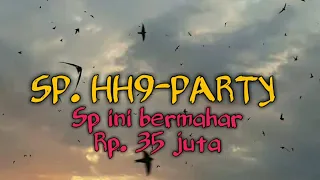 sp hh9 party original sp bermahar rp 35 juta