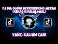 Download Lagu DJ DIA GADIS BERKERUDUNG MERAH (KEKASIH HALAL)-WALI YANG LAGI VIRAL DI TIKTOK