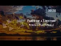 Pitbull x Play-N-Skillz - Party of a Lifetime