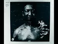 Muddy Waters   I Am The Blues