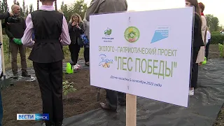 Тысячи деревьев высадили в Омске в рамках акции «Лес Победы»