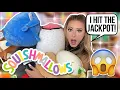 SQUISHMALLOW HUNTING JACKPOT BIGGEST SQUISH HAUL EVER MUST SEE