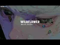 Billie Eilish - WILDFLOWER (Traducción al Español)