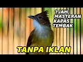 Download Lagu MASTERAN SUARA BURUNG KAPAS TEMBAK GACOR 1 JAM TANPA IKLAN COCOK BUAT PANCINGAN / MASTERAN