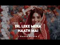 Dil Leke Mera Haath Mein ( Slowed & Reverb )