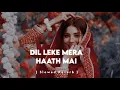 Download Lagu Dil Leke Mera Haath Mein ( Slowed \u0026 Reverb )