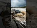 Download Lagu Detik-Detik Mobil Ditelan Banjir Bandang | Nyaris Tak Terselamatkan! #shorts