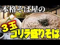 Download Lagu 天ざるゴリラ3人前2200円の衝撃｜万作の特大ざる蕎麦