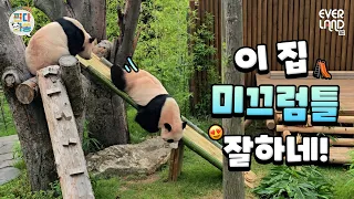 #EVENT 루이바오 미끄럼틀 타는 속도로 오세요｜#판다와쏭 #269