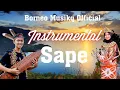 Lagu Musik Instrumen Sape full 1 jam // Sape Merdu