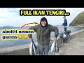 Lagu SERANGAN IKAN TENGIRI TERBRUTAL SEPANJANG SEJARAH MANCING DI JEPANG 🇯🇵