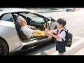 Download Lagu Billionaire collapses, saved by a mocked 6-year-old boy，who's sctually a legendary healer!