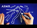 ASMR 1hr Drawing Simple Machines on Book Covers Highly requested