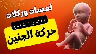 حركة الجنين قبل الولادة في الشهر التاسع من الحمل دندنها