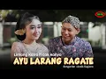 Download Lagu LINTANG KAIRO FEAT CAK KATIYO - AYU LARANG RAGATE  ( Official Video Music )