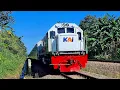 Download Lagu KERETA API PANJANG‼️ MENEMUKAN 31 KERETA API PANJANG DI PALANG PINTU WADIDAW UHUY