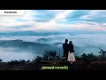 Panchhi Bole - Palak Muchhal Song | Slowed And Reverb Lofi