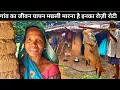 Download Lagu गांव का जीवन यापन मछ्ली मारना है । रोजी रोटी  traible village korba chhattisgarh