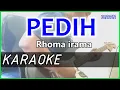 Download Lagu PEDIH - Rhoma irama KARAOKE DANGDUT Cover Pa800