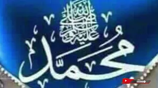 al mustapha habibulahai