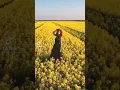 Download Lagu Breskvica Tik Tok