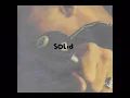 솔리드(Solid) -  나만의 친구