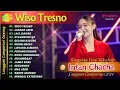 Download Lagu INTAN CHACHA - WISO TRESNO | KOMPILASI VIDEO LANGGAM DUTA NIRWANA CAMPURSARI GAYENG TERBARU 2024