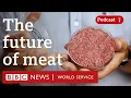 Lab-grown meat Why are countries banning it - The Global Story podcast BBC World Service