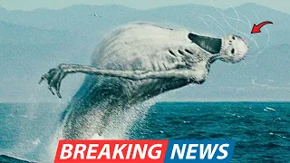 Diver Filming Corals in the Red Sea Accidentally Captured a Prehistoric Monster Breaching Behind Him
